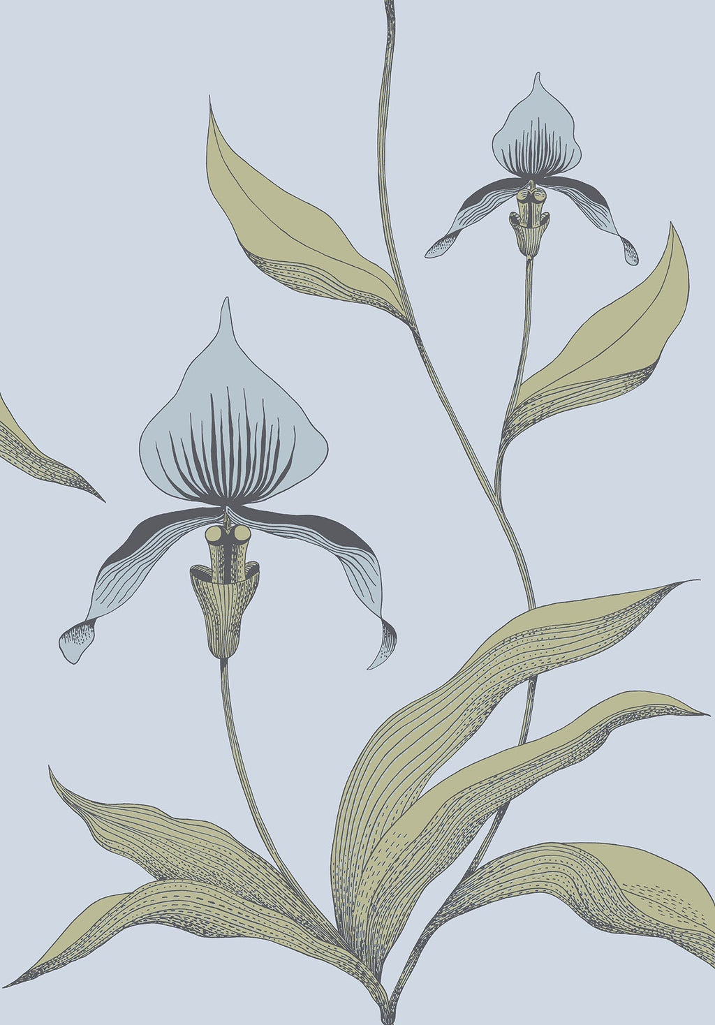 Orchid Ice Blue & Old Olive on Powder Blue