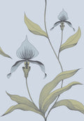 Orchid Ice Blue & Old Olive on Powder Blue