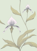 Orchid Chalk & Sand on Duck Egg