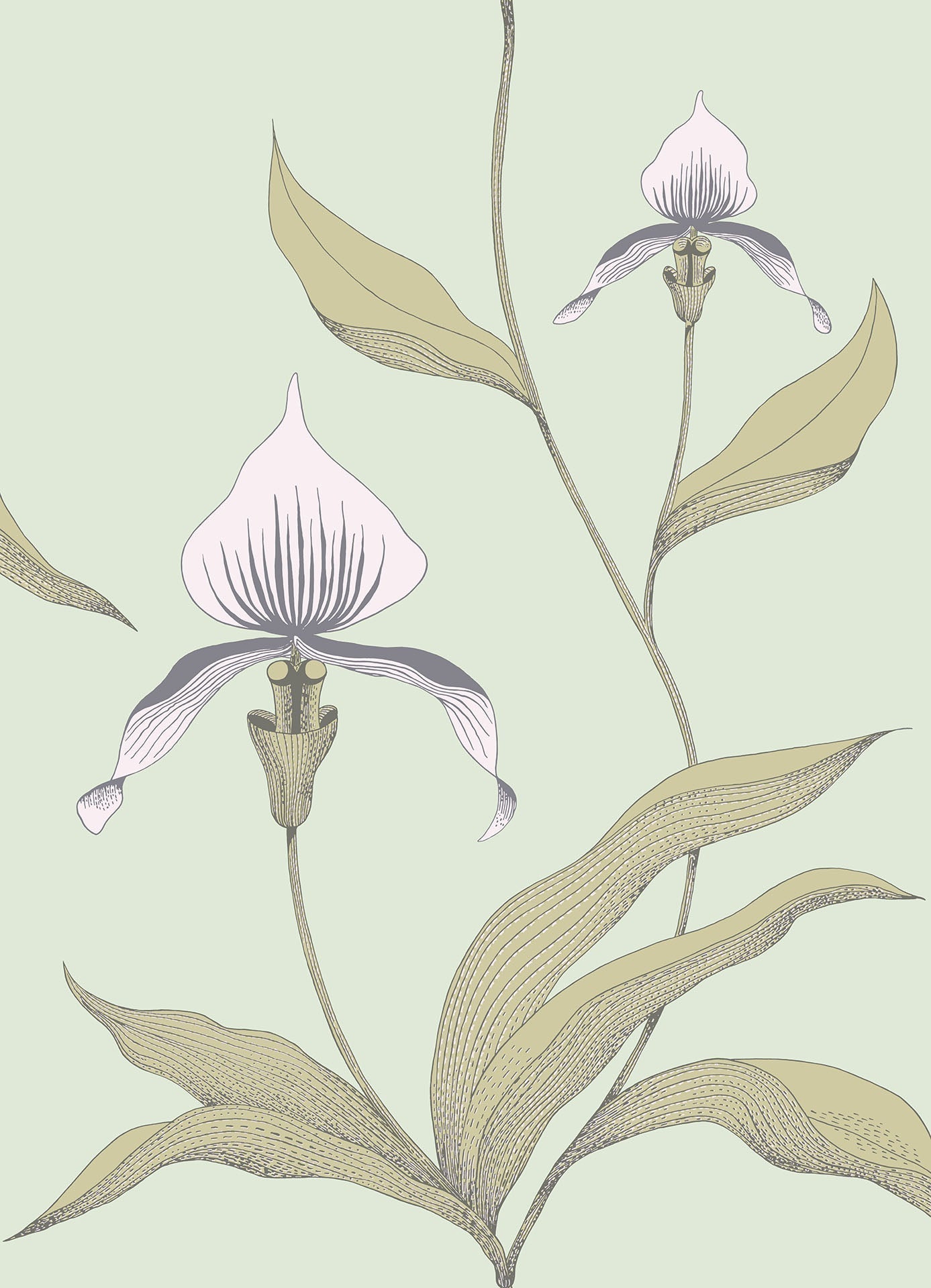 Orchid Chalk & Sand on Duck Egg
