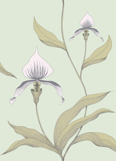 Orchid Chalk & Sand on Duck Egg