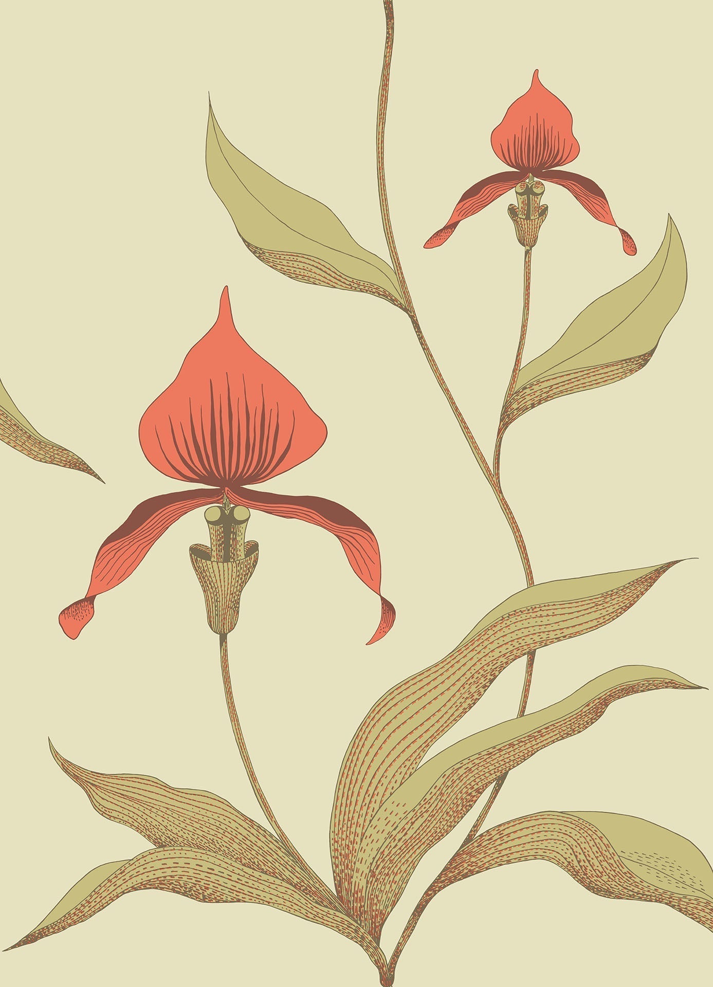 Orchid Rouge & Olive Green on Soft Olive