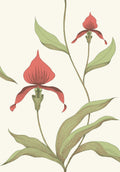Orchid Rouge & Olive on Parchment