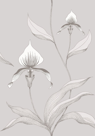 Orchid White & Shell on Dove