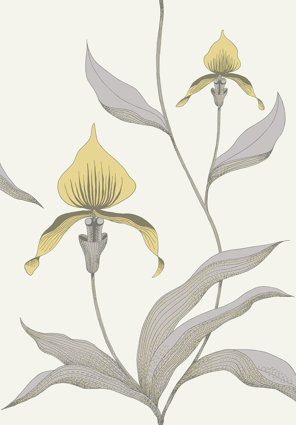 Orchid Lemon & Heath Grey on Chalk