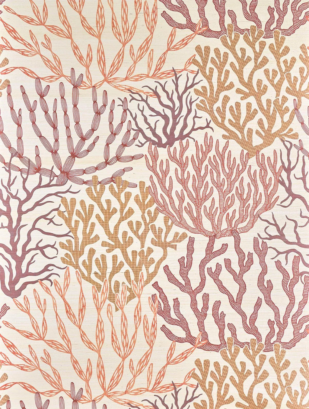 Pleine mer Corail - Les Dessins 7