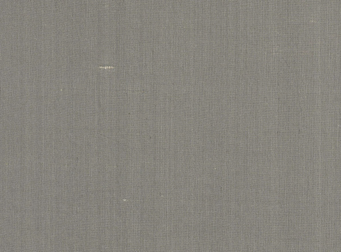 Zia Minéral - Graminees 2