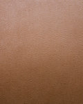 SAS007 (Sueded Astrakan)