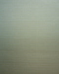 SET004 (Seta)