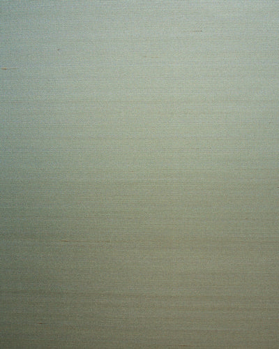 SET004 (Seta)