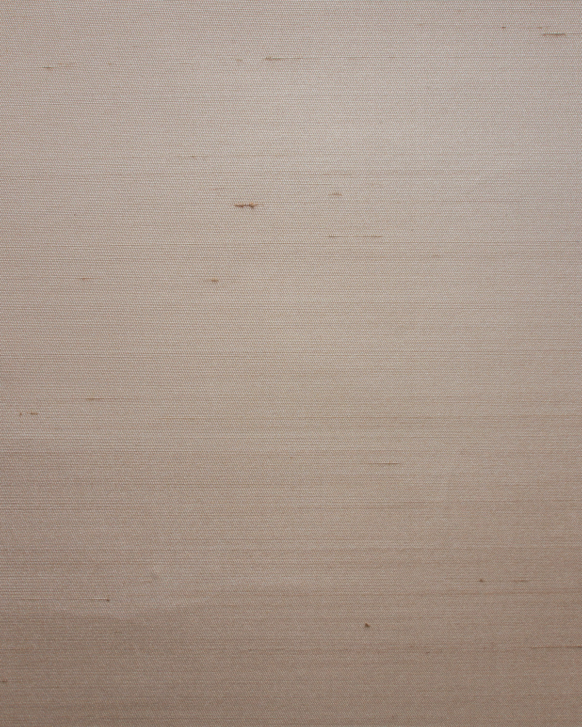 SET005 (Seta)