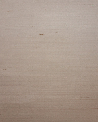 SET005 (Seta)
