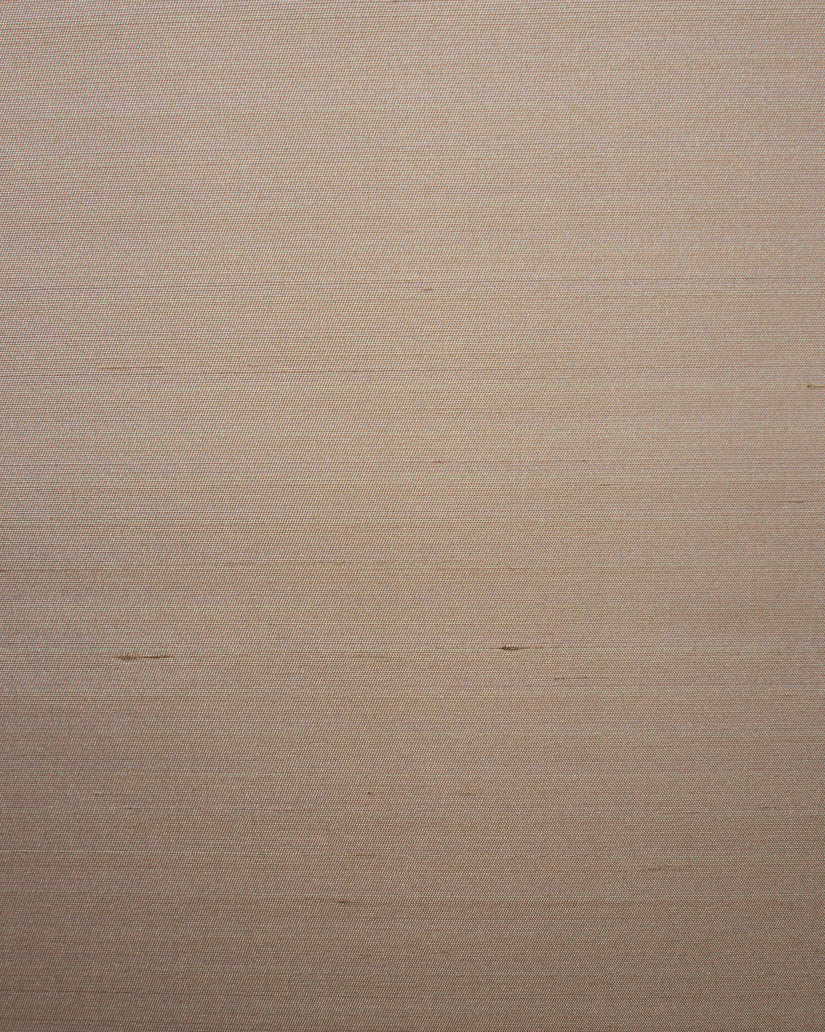 SET006 (Seta)