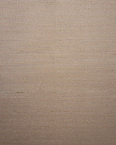 SET006 (Seta)