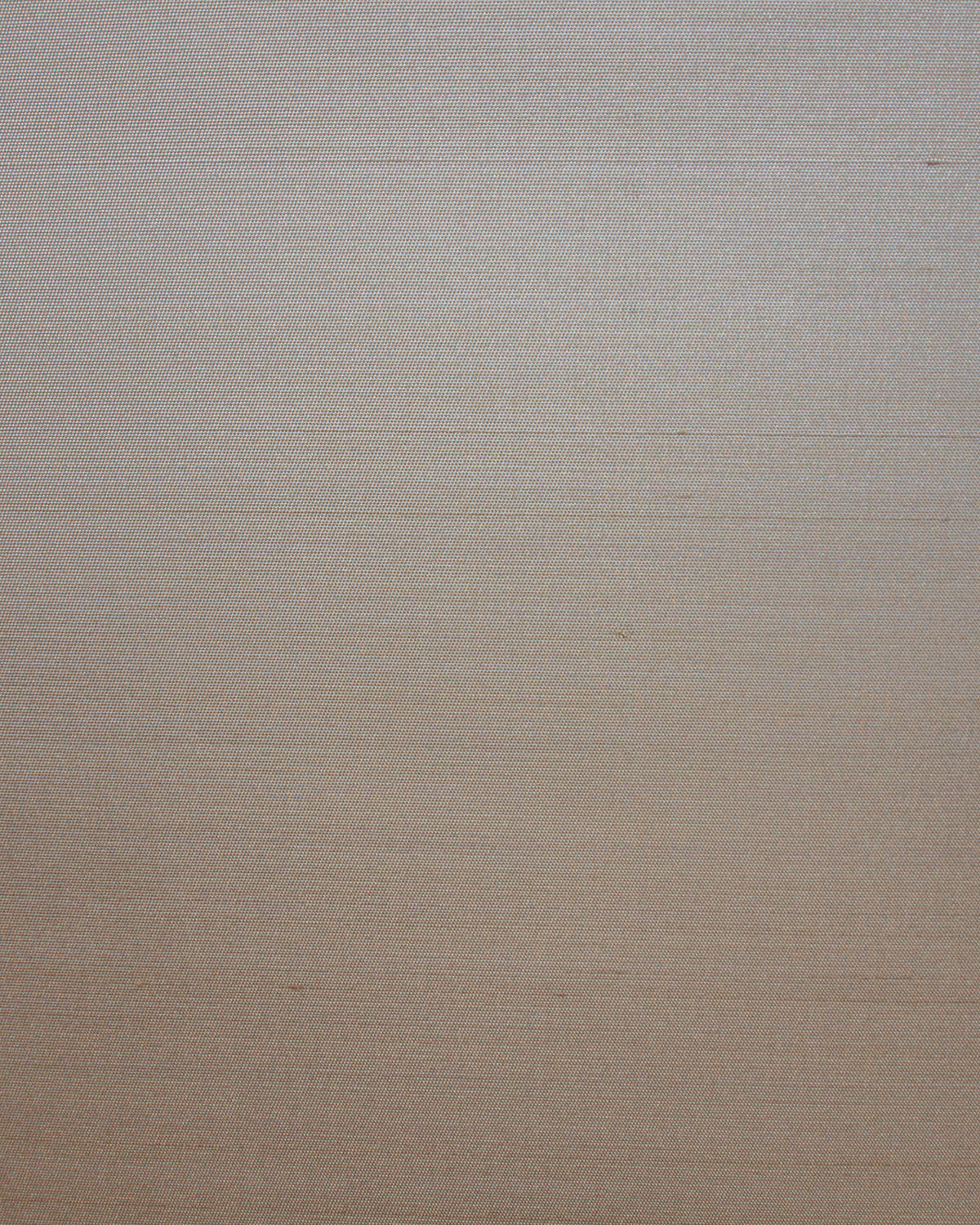 SET009 (Seta)
