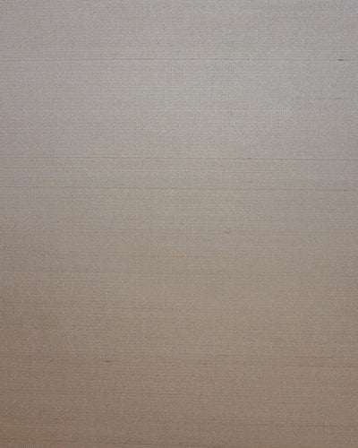 SET009 (Seta)
