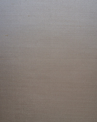 SET010 (Seta)