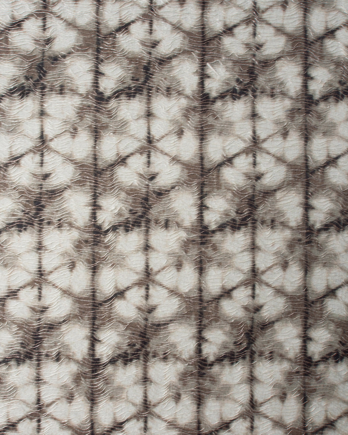 SHI002 (Shiborino)