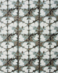 SHI003 (Shiborino)