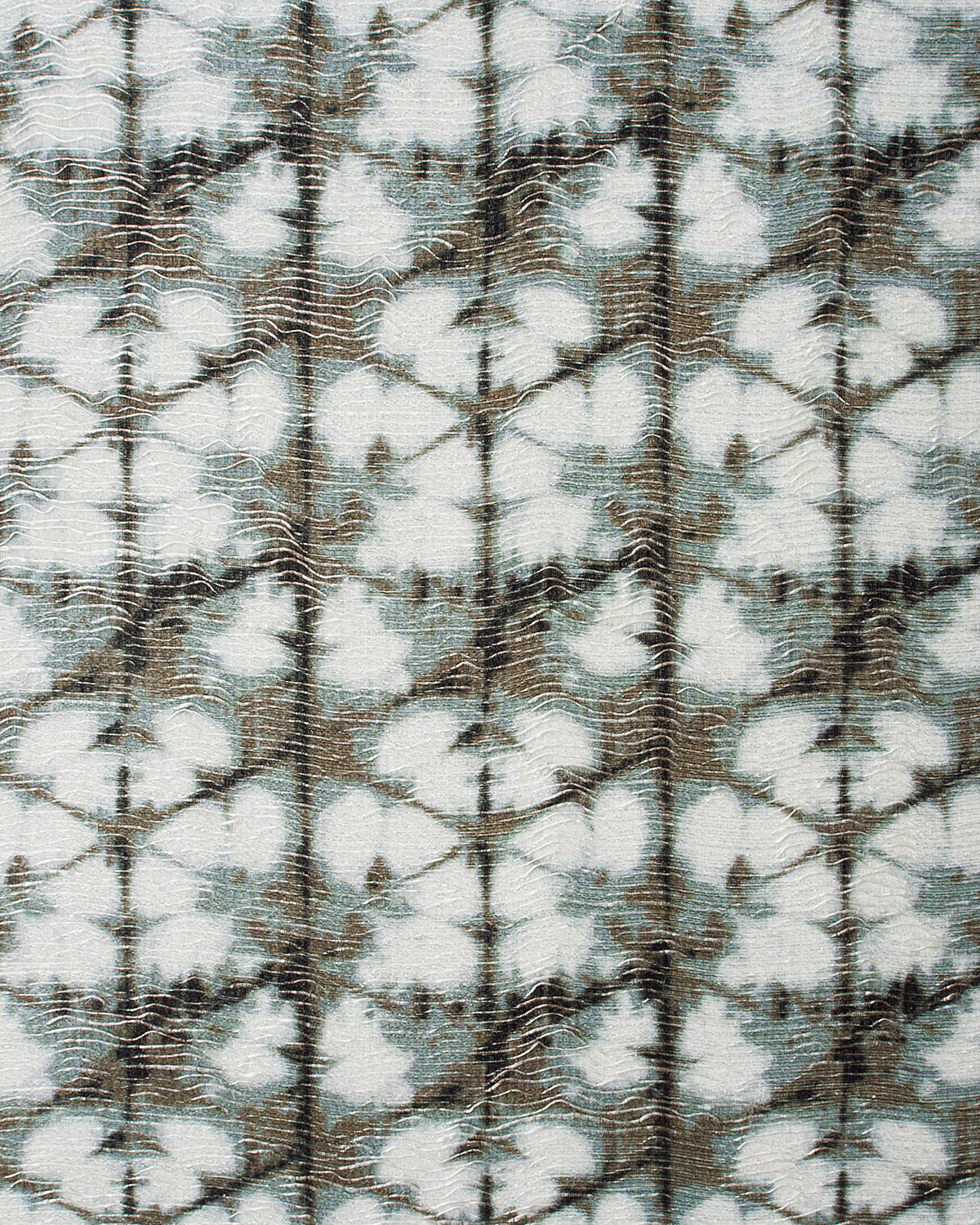 SHI003 (Shiborino)