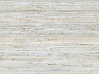 Shades Of Pale - SOP1041
