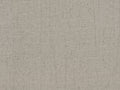 Shades Of Pale - SOP2081