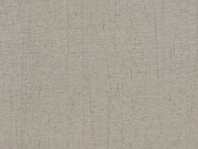Shades Of Pale - SOP2081