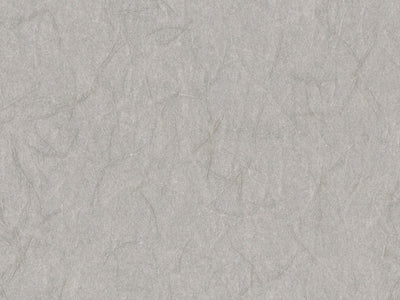 Shades Of Pale - SOP3103