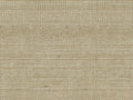 Shades Of Pale - SOP4101