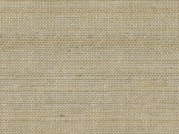 Shades Of Pale - SOP4101