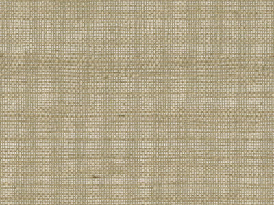Shades Of Pale - SOP4101