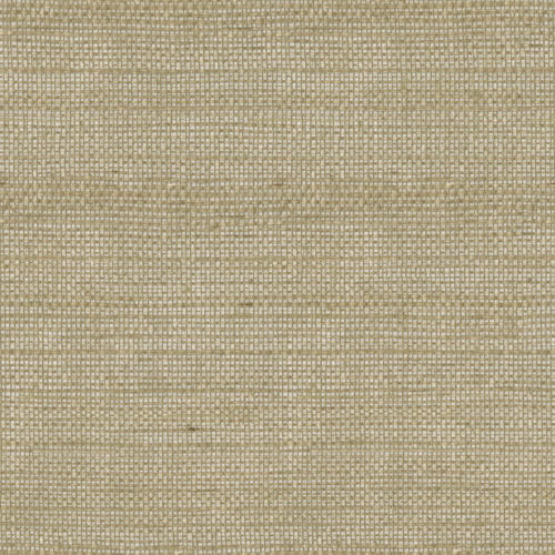 Shades Of Pale - SOP4101
