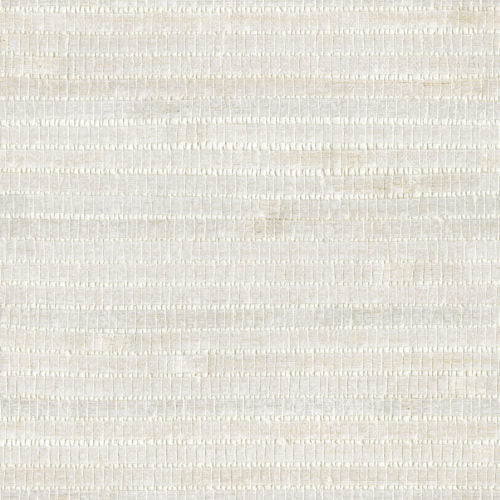 Shades Of Pale - SOP4111