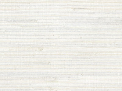 Shades Of Pale - SOP4121