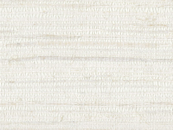 Shades Of Pale - SOP4124