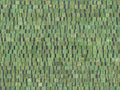 Seraya - SRA1018