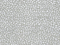 Seraya - SRA1702