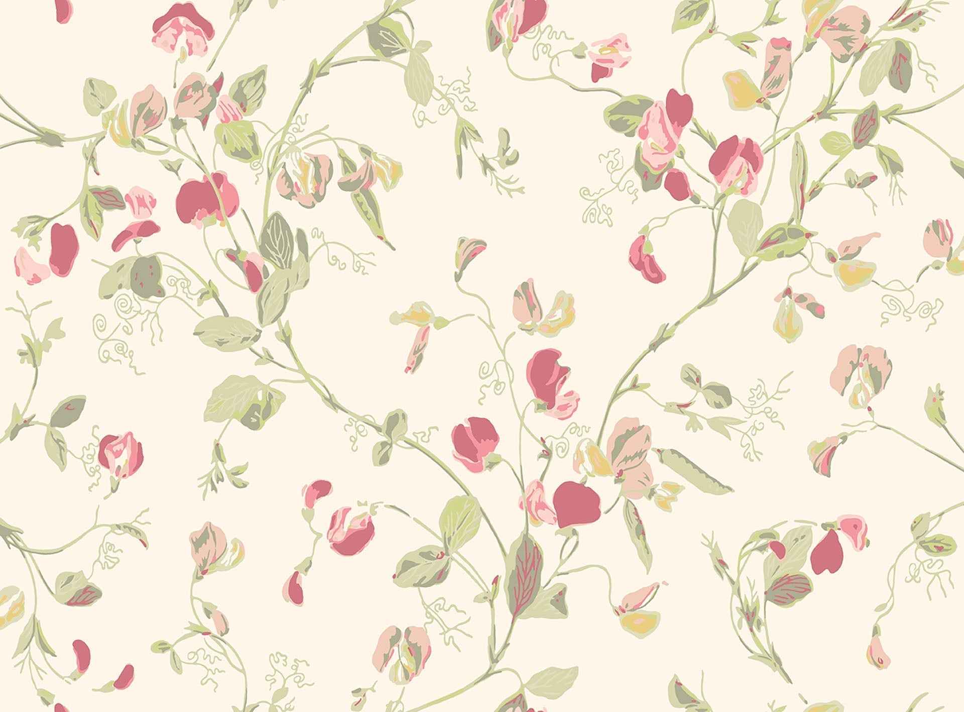 Sweet Pea Archive Anthology Coral & Olive on Cream