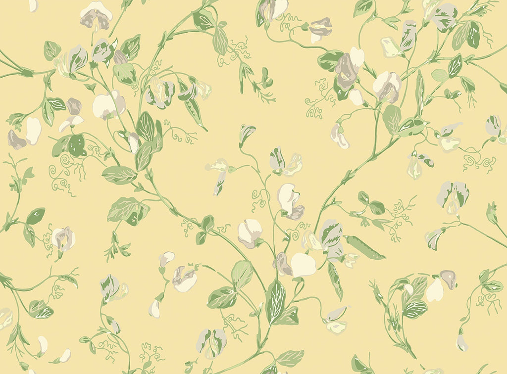 Sweet Pea Archive Anthology Grey & Lime on Yellow