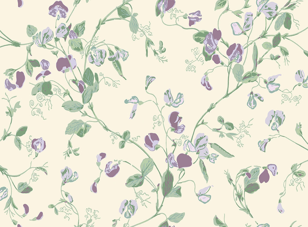 Sweet Pea Archive Anthology Mulberry & Sage on Cream