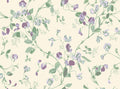 Sweet Pea Archive Anthology Mulberry & Sage on Cream