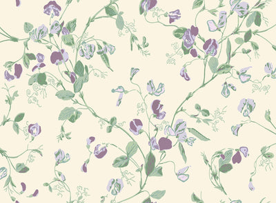 Sweet Pea Archive Anthology Mulberry & Sage on Cream