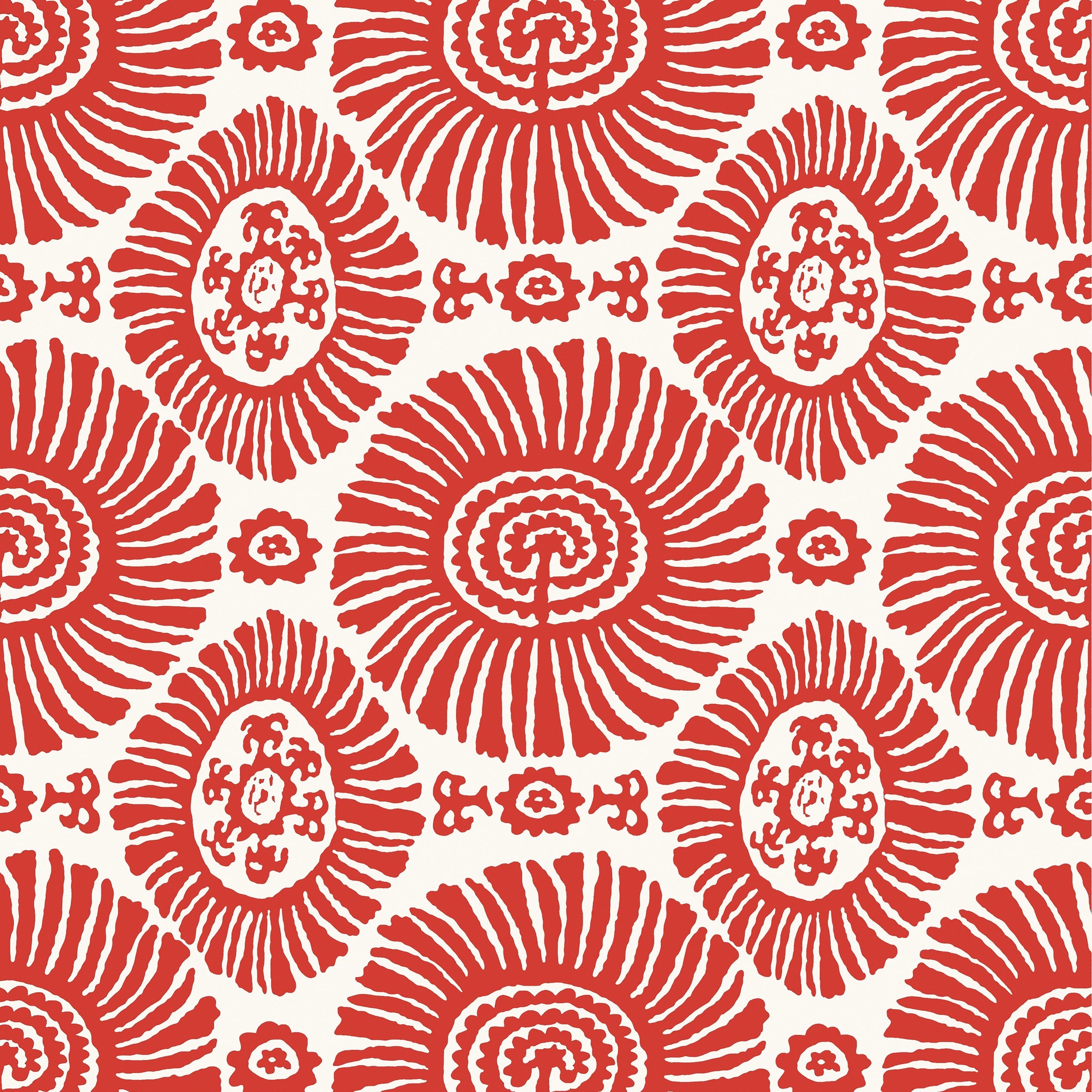 SOLIS - Coral