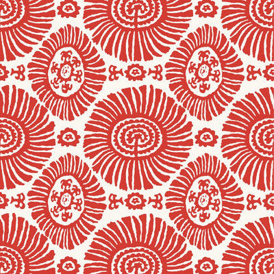 SOLIS - Coral