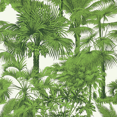PALM BOTANICAL - Emerald Green