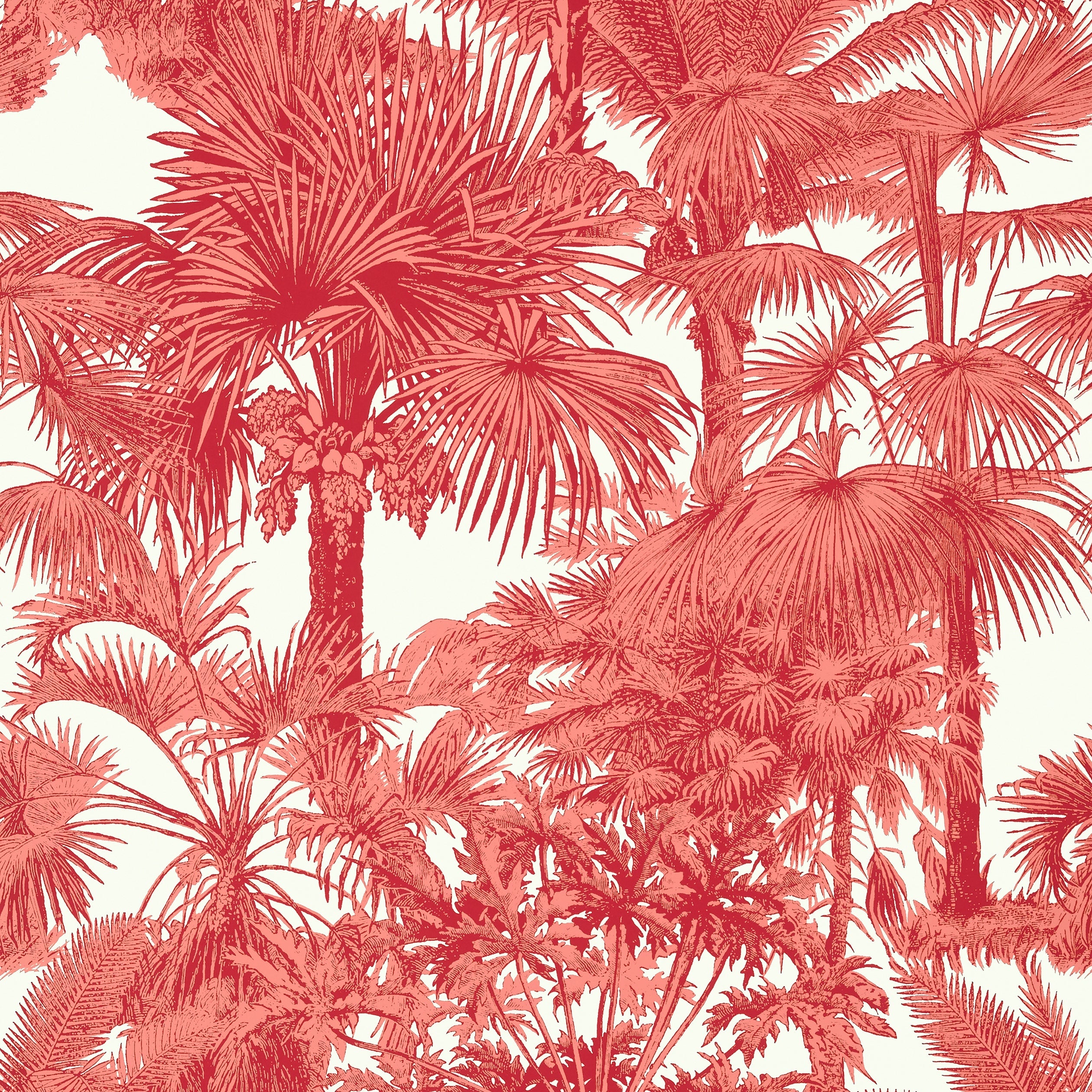 PALM BOTANICAL - Coral