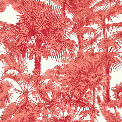 PALM BOTANICAL - Coral