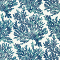 MARINE CORAL - Navy
