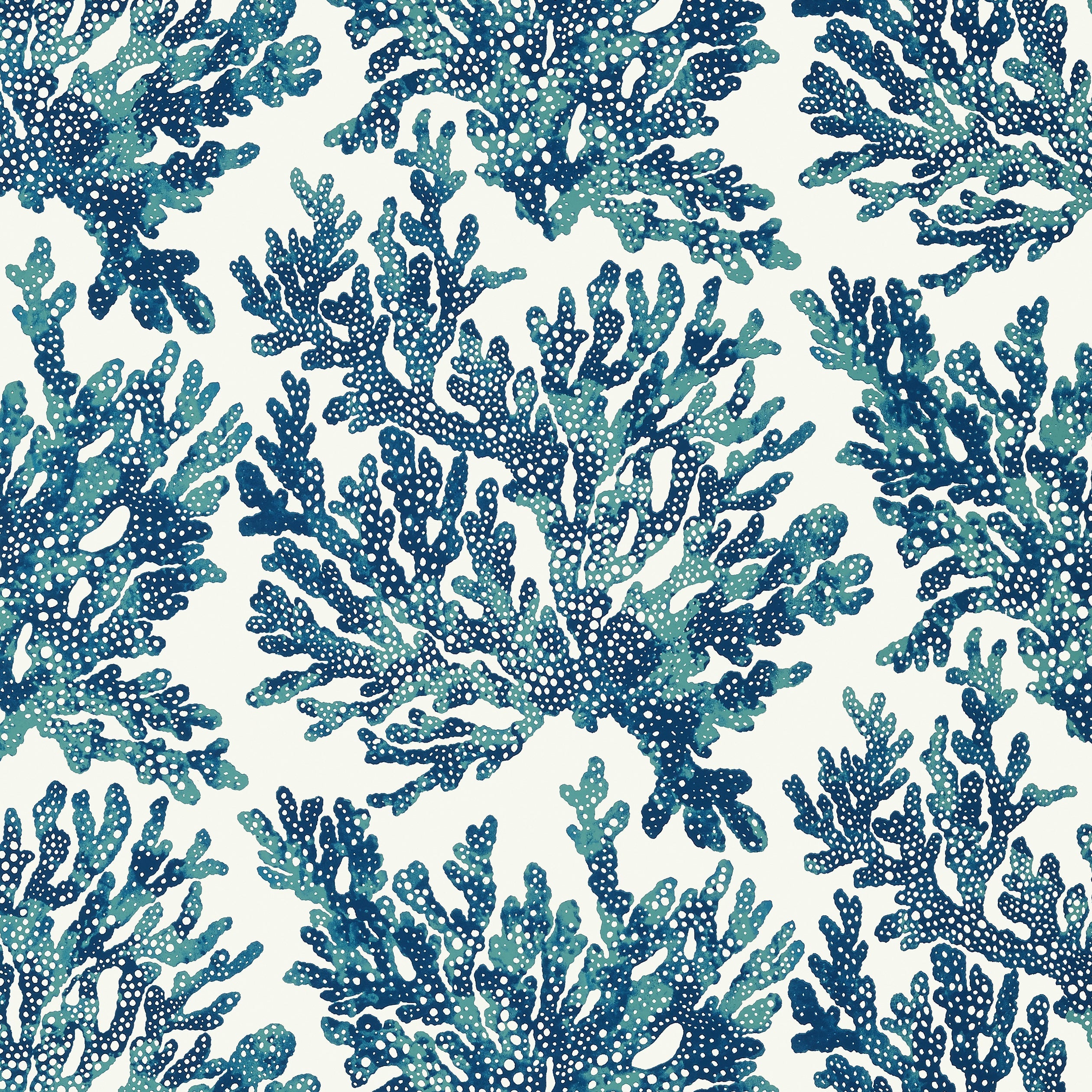 MARINE CORAL - Navy