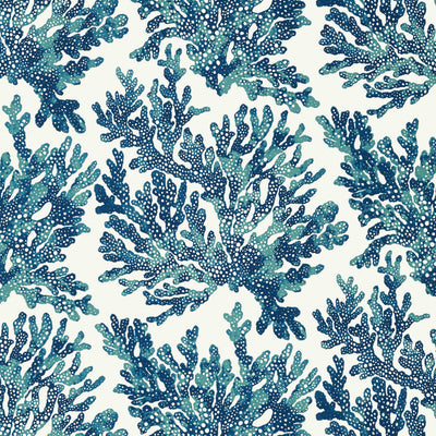 MARINE CORAL - Navy